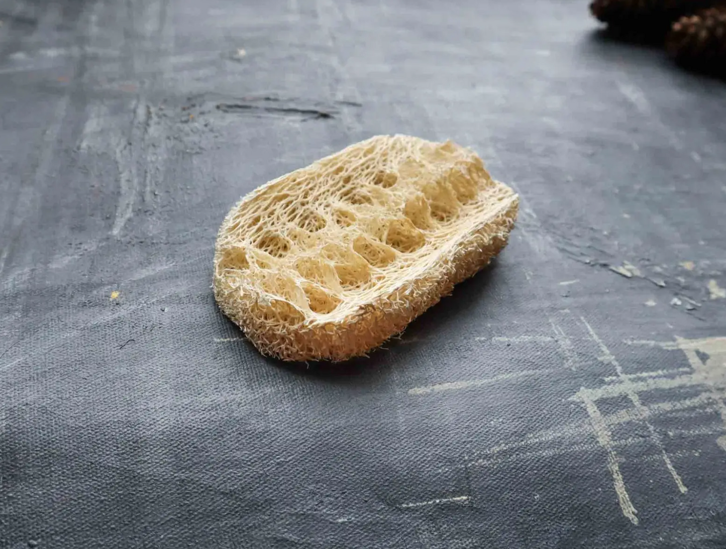Plantish - Coconut Loofah Dishwashing Sponge